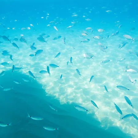 Отель Midenza Seaside & Nature Retreat