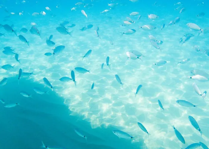 Hotel Midenza Suites&residence